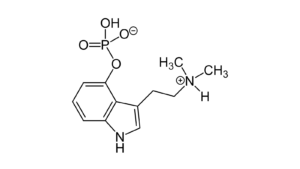 Psilocybin explainer SOAA