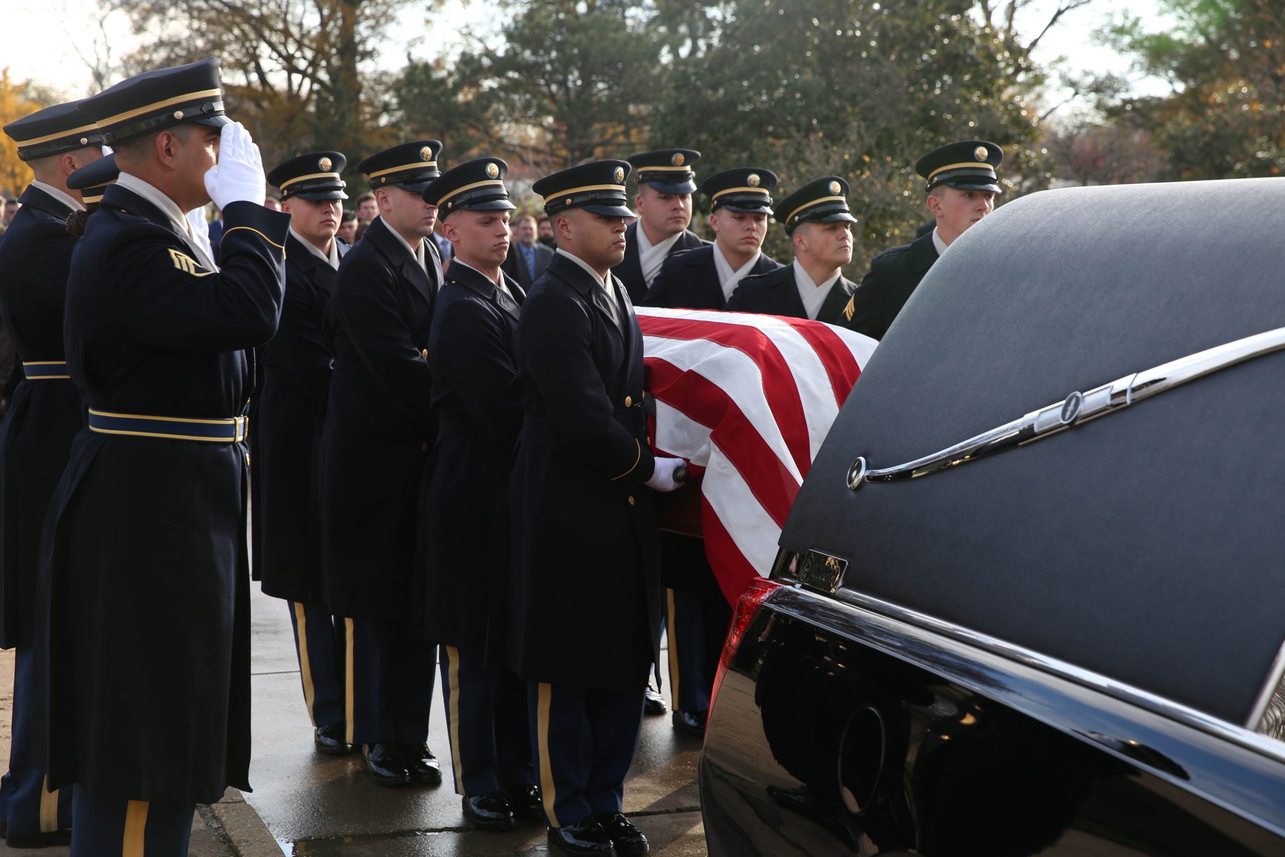 You are currently viewing Love Becomes Legacy: SOAA Stands With Sarah Verardo   