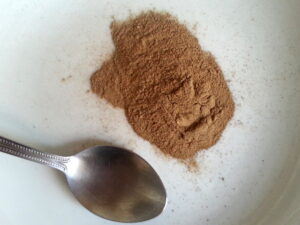 ibogaine for veterans