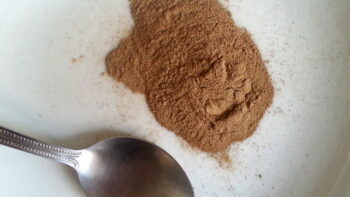 What is Ibogaine and How Can it Help Veterans?
